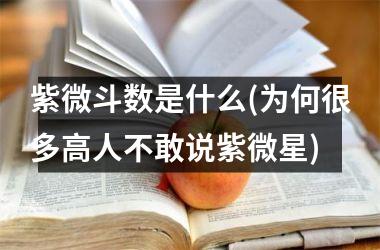 <h3>紫微斗数是什么(为何很多高人不敢说紫微星)