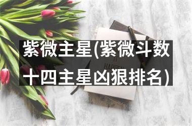 紫微主星(紫微斗数十四