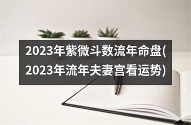 2025年紫微斗数流年命盘