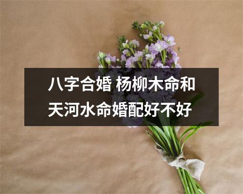 <h3>八字合婚杨柳木命和天河水命婚配好不好