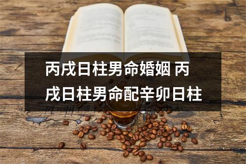 <h3>丙戌日柱男命婚姻丙戌日柱男命配辛卯日柱