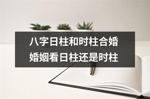 八字日柱和时柱合婚婚姻看日柱还是时柱