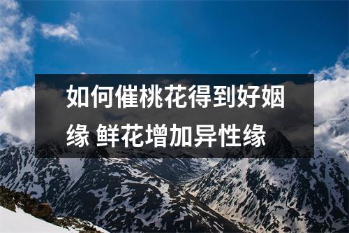 <h3>如何催桃花得到好姻缘鲜花增加异性缘