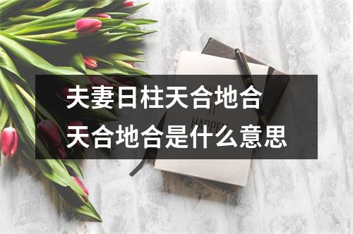 <h3>夫妻日柱天合地合天合地合是什么意思