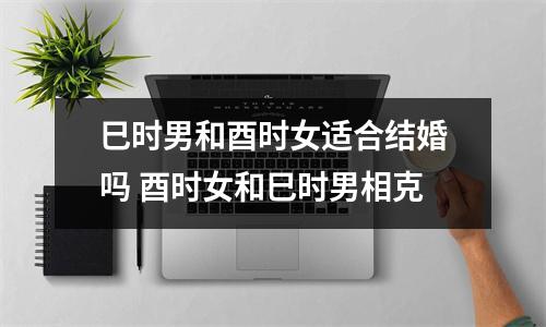 <h3>巳时男和酉时女适合结婚吗酉时女和巳时男相克