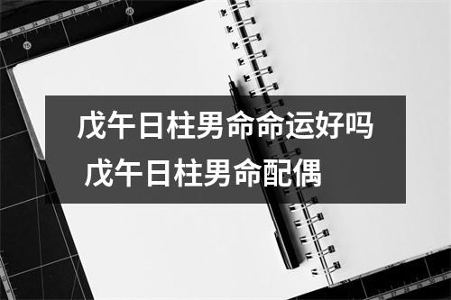<h3>戊午日柱男命命运好吗戊午日柱男命配偶