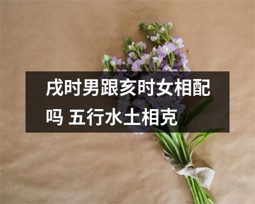 戌时男跟亥时女相配吗五行水土相克