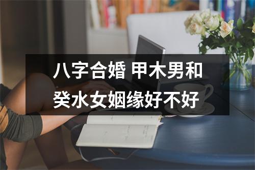 <h3>八字合婚甲木男和癸水女姻缘好不好