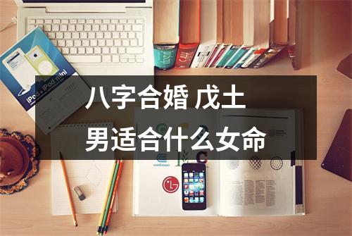 <h3>八字合婚戊土男适合什么女命