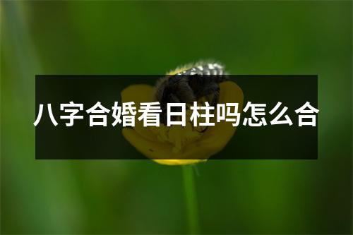 八字合婚看日柱吗怎么合