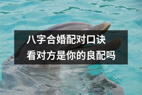 <h3>八字合婚配对口诀看对方是你的良配吗