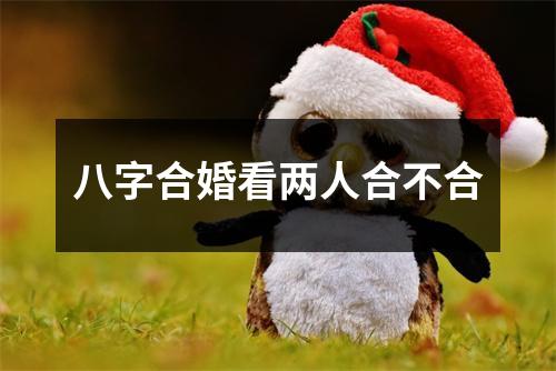 <h3>八字合婚看两人合不合