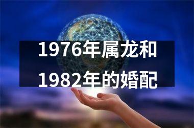 <h3>1976年属龙和1982年的婚配