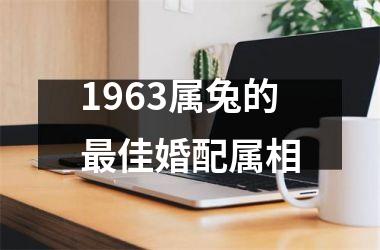 <h3>1963属兔的佳婚配属相