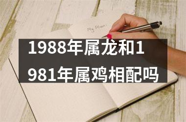 <h3>1988年属龙和1981年属鸡相配吗