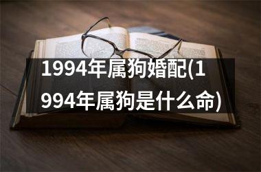 1994年属狗婚配(1994年属狗是什么命)