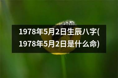 <h3>1978年5月2日生辰八字(1978年5月2日是什么命)