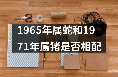 <h3>1965年属蛇和1971年属猪是否相配