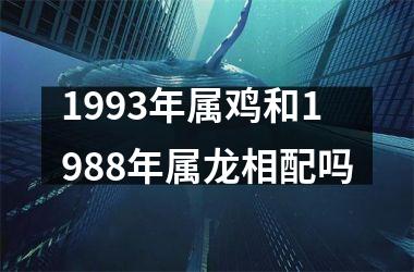 <h3>1993年属鸡和1988年属龙相配吗