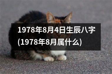 1978年8月4日生辰八字(1978年8月属什么)