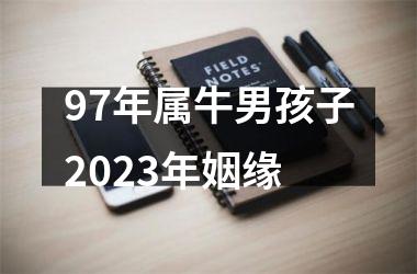 97年属牛男孩子2025年姻缘