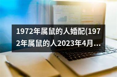 1972年属鼠的人婚配(1972年属鼠的人2025年4月提车黄道吉日)