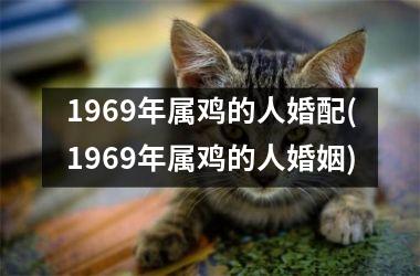 <h3>1969年属鸡的人婚配(1969年属鸡的人婚姻)