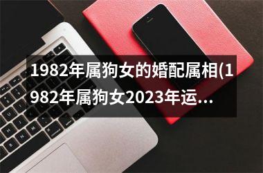 1982年属狗女的婚配属相(1982年属狗女2025年运势及运程每月运程)