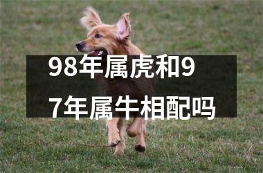 <h3>98年属虎和97年属牛相配吗