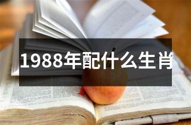 <h3>1988年配什么生肖