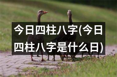 <h3>今日四柱八字(今日四柱八字是什么日)