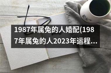 1987年属兔的人婚配(1987年属兔的人2025年运程)