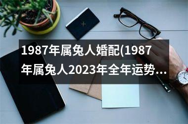 1987年属兔人婚配(1987年属兔人2025年全年运势)