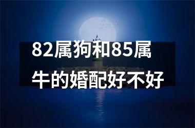 <h3>82属狗和85属牛的婚配好不好