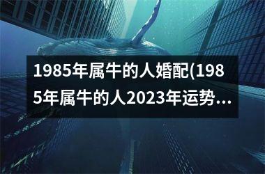 <h3>1985年属牛的人婚配(1985年属牛的人2025年运势及运程)