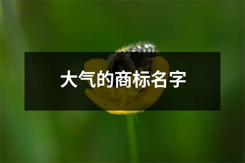 大气的商标名字