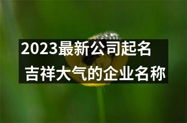 2025新公司起名 吉祥大气的企业名称