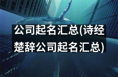 公司起名汇总(诗经楚辞公司起名汇总)