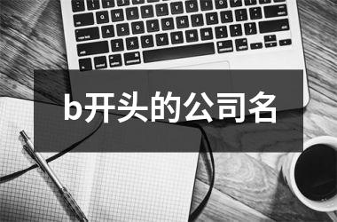 <h3>b开头的公司名