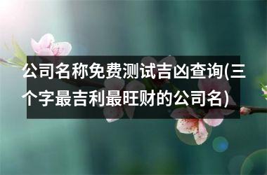 <h3>公司名称免费测试吉凶查询(三个字最吉利最旺财的公司名)