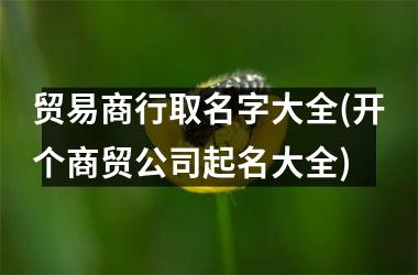 贸易商行取名字大全(开个商贸公司起名大全)