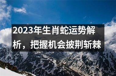 <h3>2025年生肖蛇运势解析，把握机会披荆斩棘