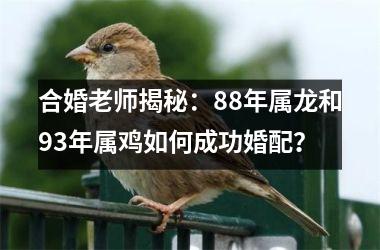 <h3>合婚老师揭秘：88年属龙和93年属鸡如何成功婚配？