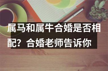 <h3>属马和属牛合婚是否相配？合婚老师告诉你