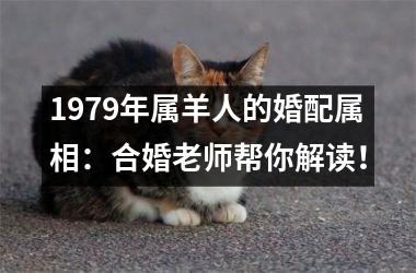 <h3>1979年属羊人的婚配属相：合婚老师帮你解读！