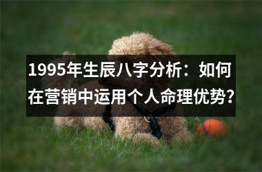 1995年生辰八字分析：如何在营销中运用个人命理优势？