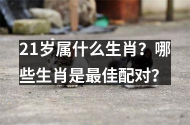 <h3>21岁属什么生肖？哪些生肖是佳配对？