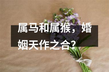 属马和属猴，婚姻天作之合？