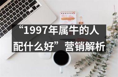 <h3>“1997年属牛的人配什么好”营销解析