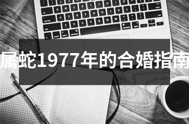 <h3>属蛇1977年的合婚指南